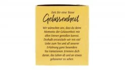 Meßmer Grüner Tee Orange-Ingwer 8 Meßmer Grüner Tee Orange-Ingwer -Mytime 4502090514 4002221015128 03